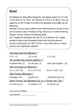 Blauwal.pdf